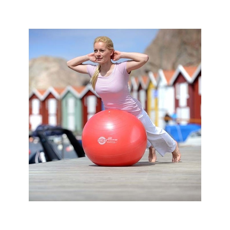 Médecine Ball - Gym Ball Gym Ball avec pompe FITNESSBOUTIQUE 55 cm